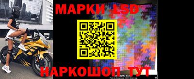 индика Рузаевка