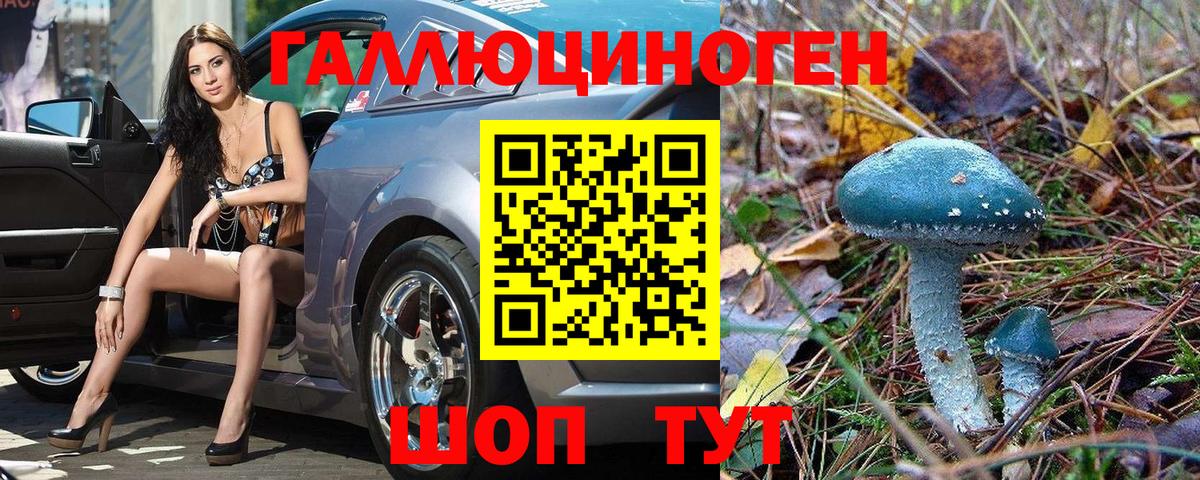 Галлюциногенные грибы Psilocybine cubensis Новосибирск