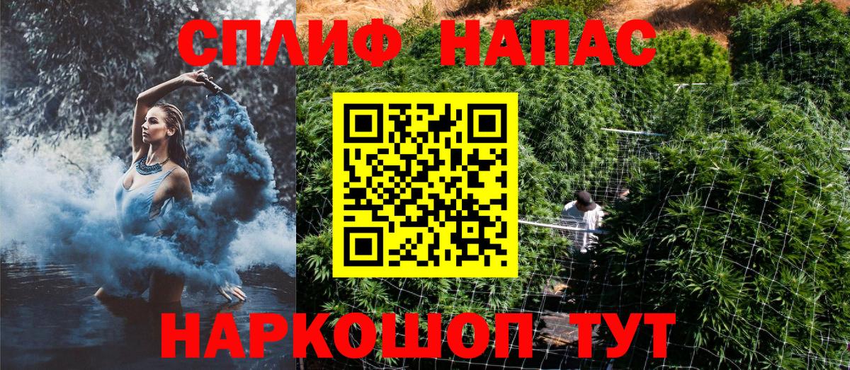 Бошки марихуана план  Каннабис Bruce Banner  Новосибирск  Вход с VPN  Канабис гибрид 